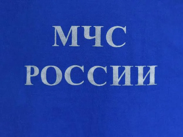 Футболка МЧС России — фото 8
